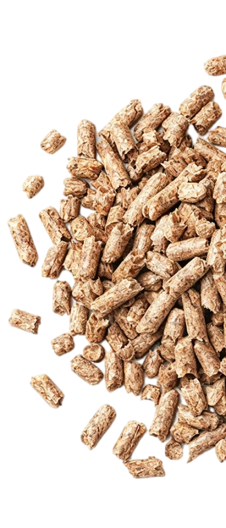 Pellets de ra&ccedil;&atilde;o animal