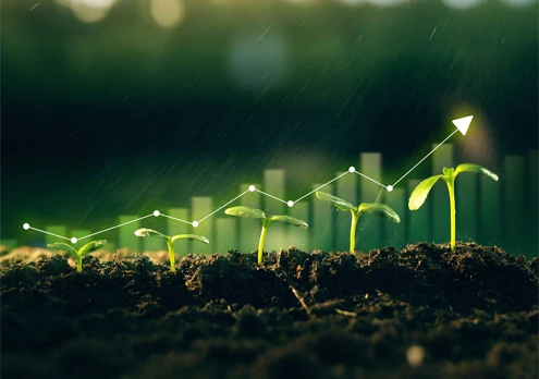 Expans&atilde;o Global dos Neg&oacute;cios de Biomassa